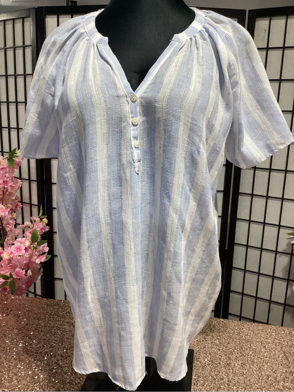 NWT Heroes & Dreamers Light Blue and White Striped Women’s Peasant Top